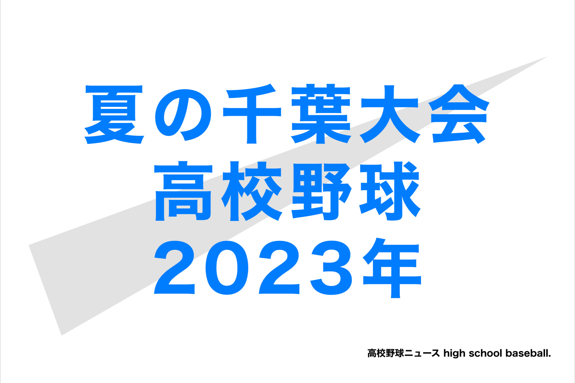 熱闘千葉 2022」第104回高校野球千葉大会パンフレット メンバー表 記念